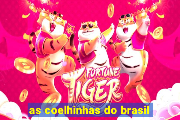 as coelhinhas do brasil